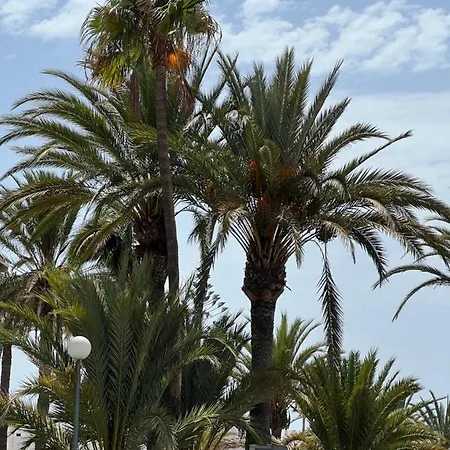 Apartamento San Agustin , Close To The Beach, With Pool! *